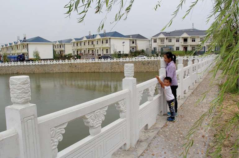 ����ͼ����������Ҷ����ר��